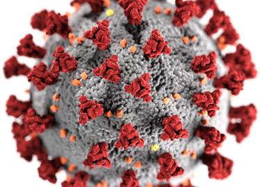 Model of coronavirus