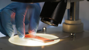 a gloved hand adjusts a stained slide over a light under a microscope lens
