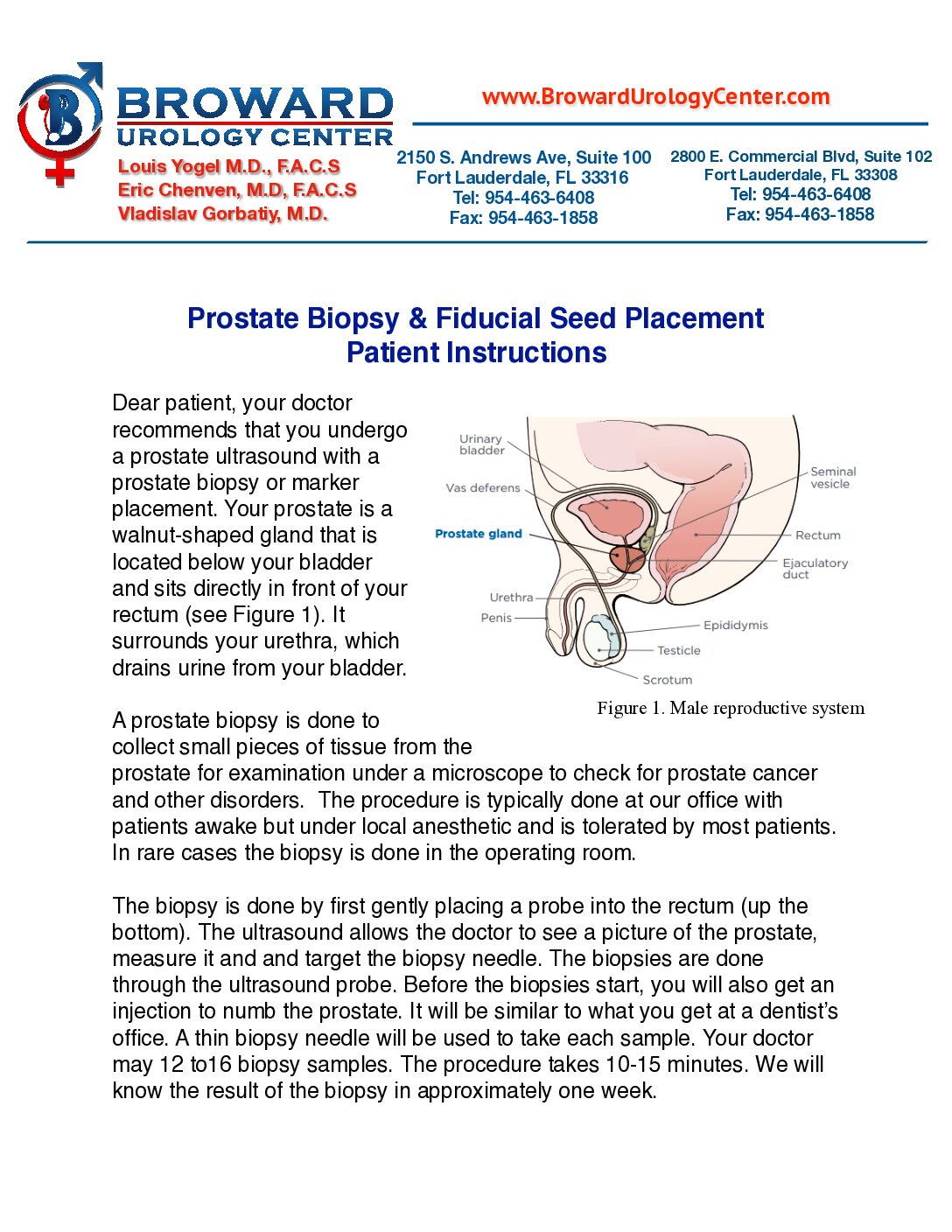 medical brochure